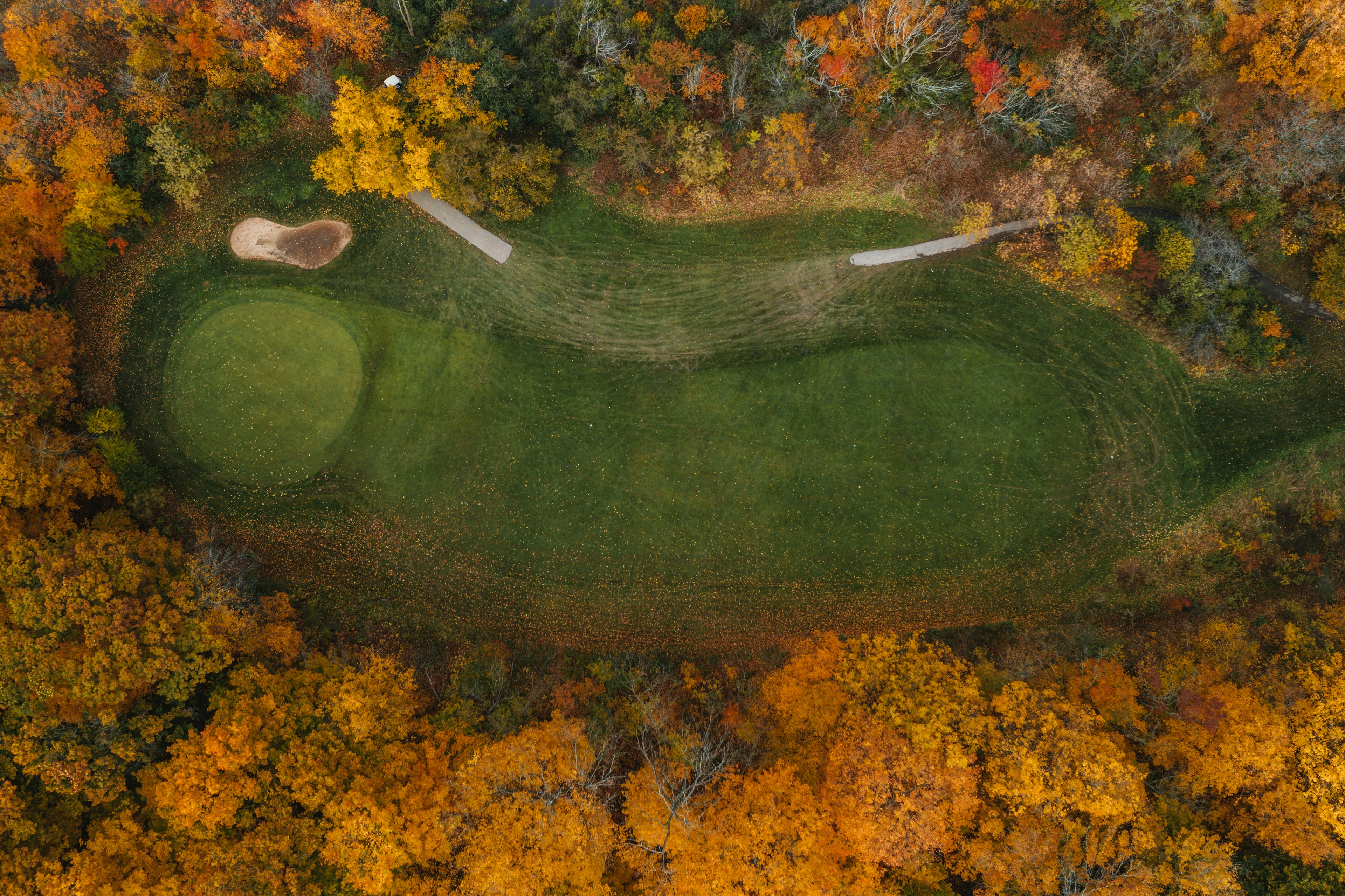 hole-of-golf-course-surrounded-by-yellow-trees